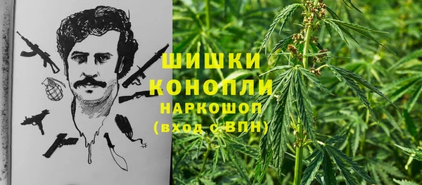 трава Беломорск